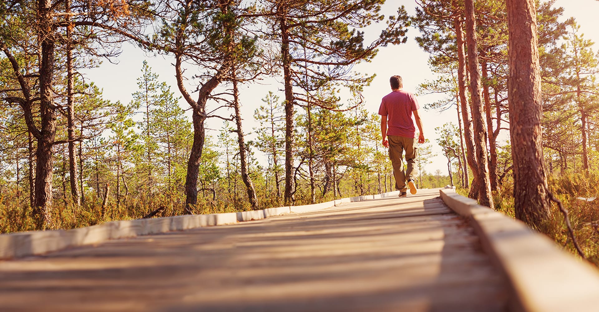 A person walking a scenic path with their back towards the viewer