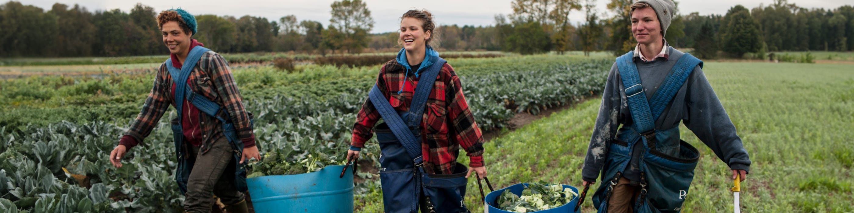 Three people carrying baskets of produce through a farm setting